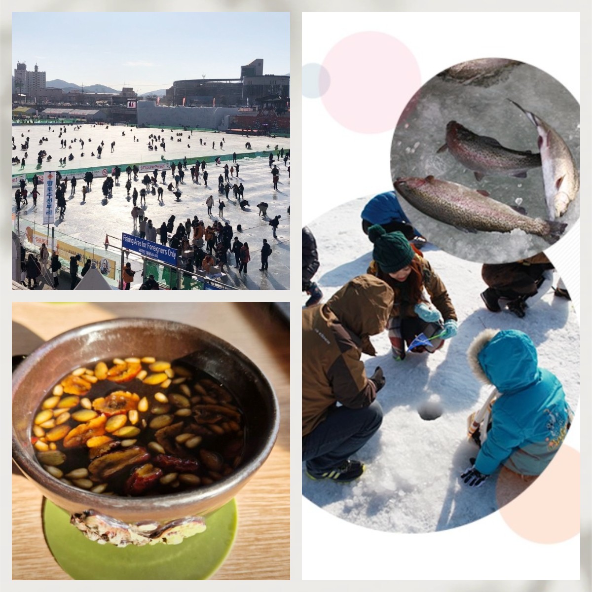 🎣❄️平昌釣冰魚一天團