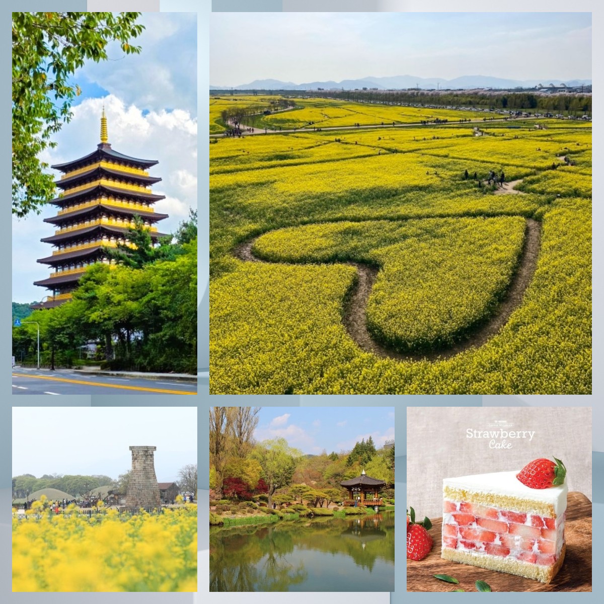 🚨 一人成團🚨🚌釜山出發🚌🏯🌸釜山・慶州 春日花海精品一天團