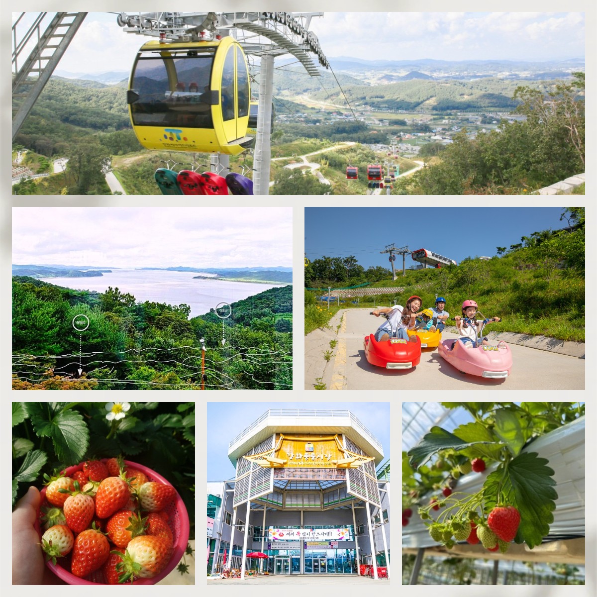 🍓🚗超人氣草莓體驗+人氣爆燈Luge+風物市場+離北韓最近的咖啡廳 1天團