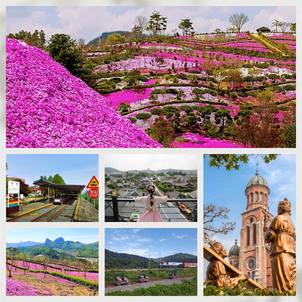 🚨 一人成團🚨🚲🌸芝櫻花慶典+傳統氣息+鐵路單車 ·芝櫻韓屋單車行 一天團