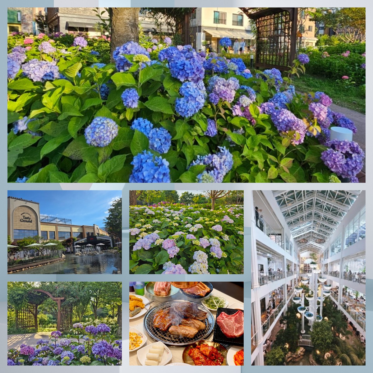 🚨 一人成團🚨💐💙 繽紛繡球花 & 必訪「森林秘境咖啡廳」& 樂天Premium Outlet & 韓國人氣大型藥局 一天團