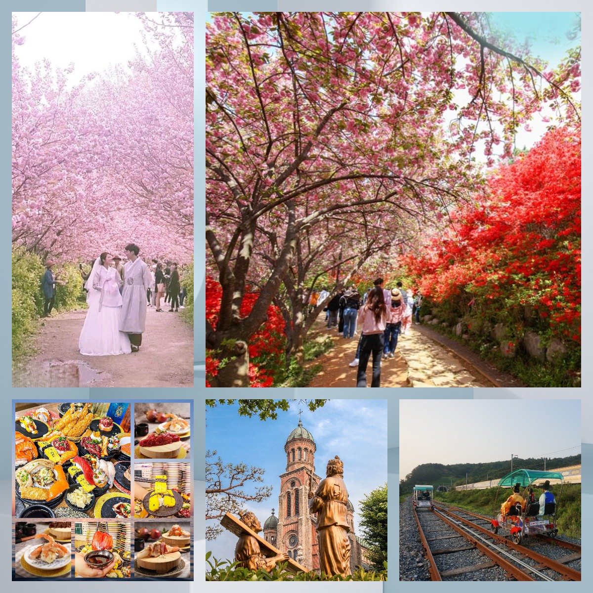 🚨 一人成團🚨🌺🚲紅櫻花+傳統氣息+鐵路單車 ·紅櫻韓屋單車行 一天團