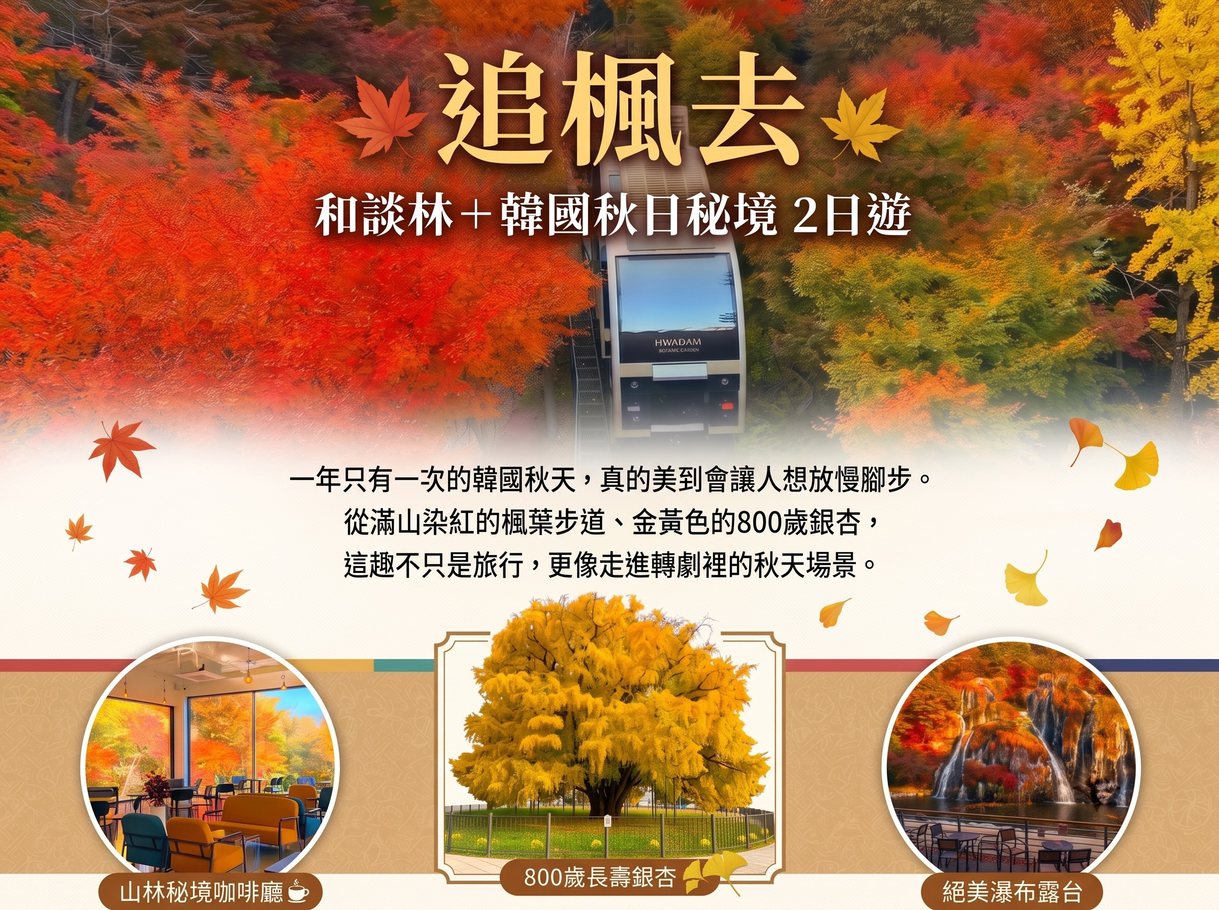 (團號 : HY-02) (一人成團) 和談林+秋日賞楓秘境2天團