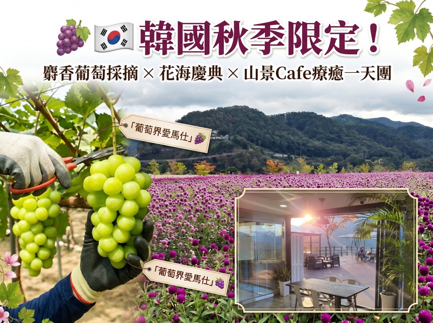 (團號 : PXL-01)  (一人成團) 麝香葡萄採摘 X 花海慶典 X 山景Cafe療癒一天團